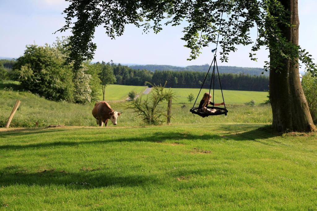 Bed & Breakfast Хорсенс Экстерьер фото